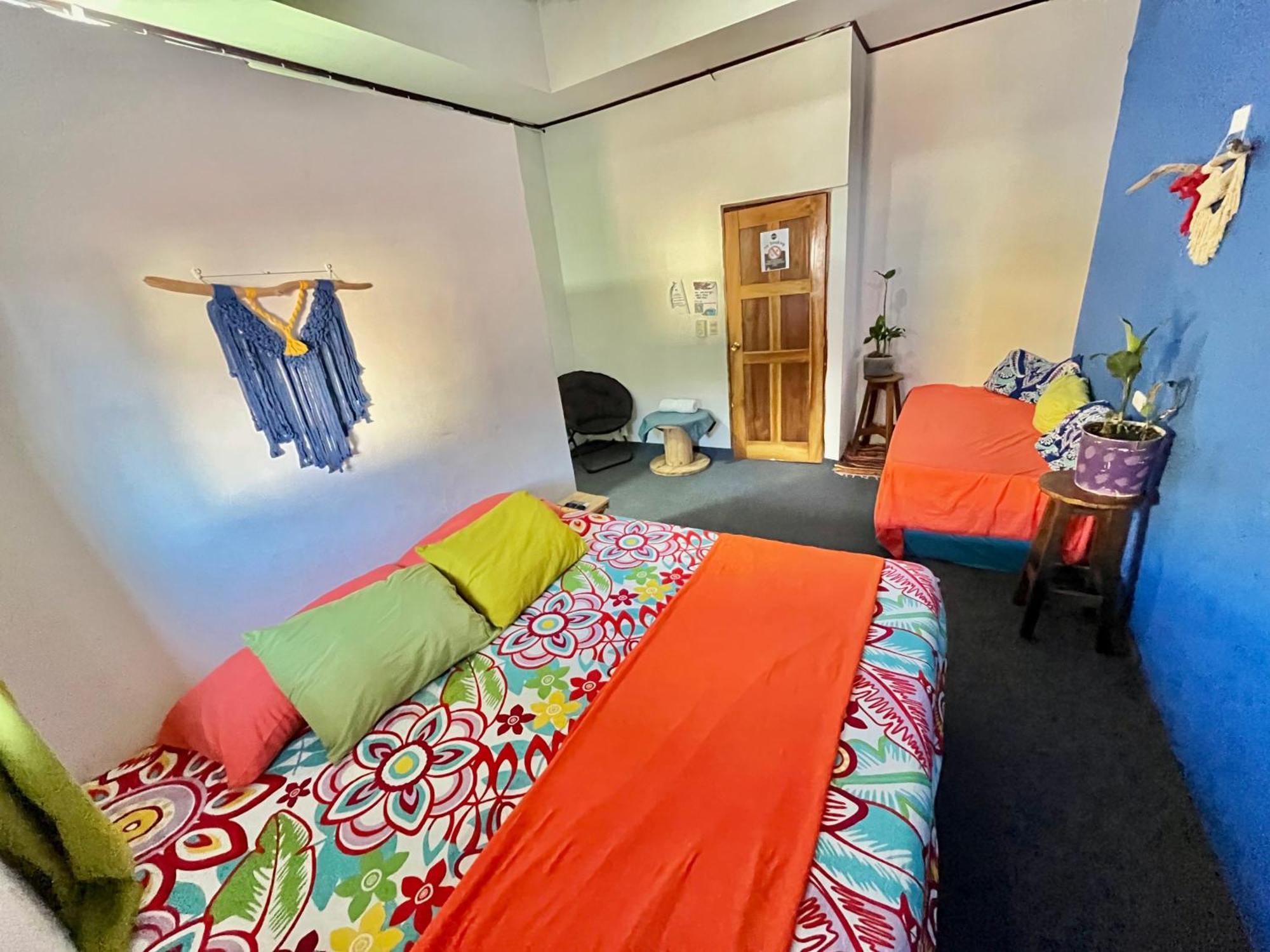 Passifloras Hostel كيبوس المظهر الخارجي الصورة