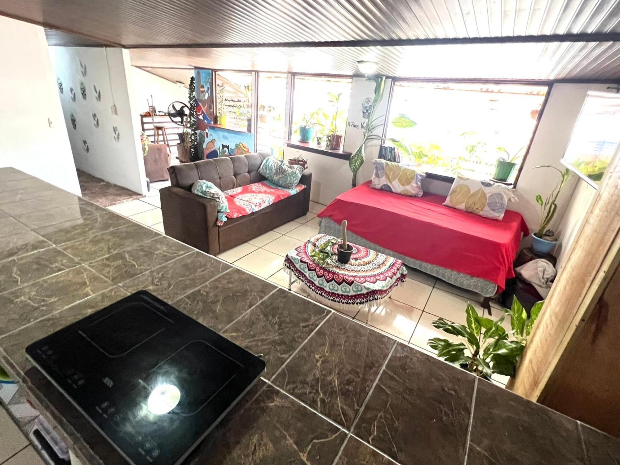 Passifloras Hostel كيبوس المظهر الخارجي الصورة
