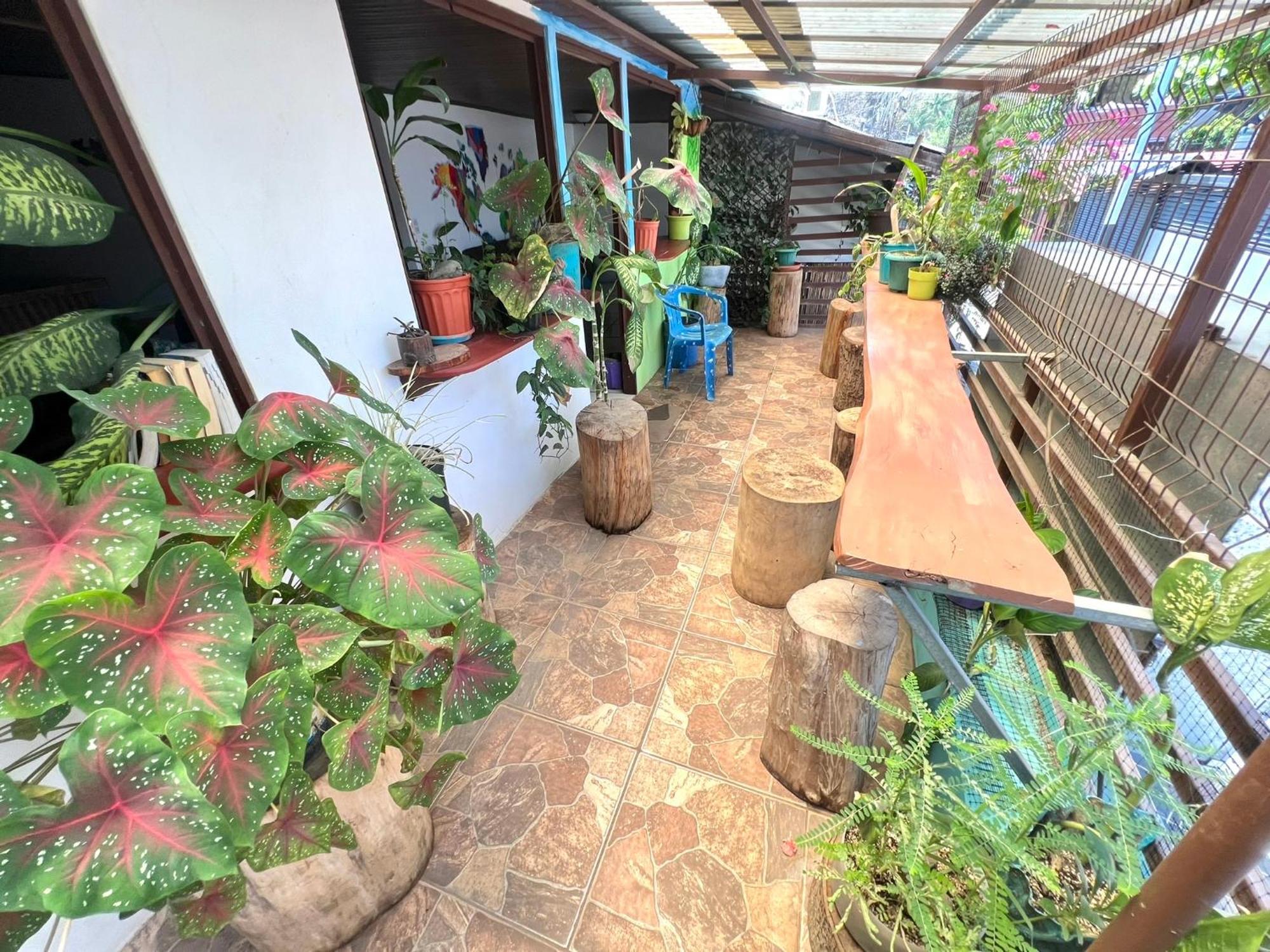 Passifloras Hostel كيبوس المظهر الخارجي الصورة