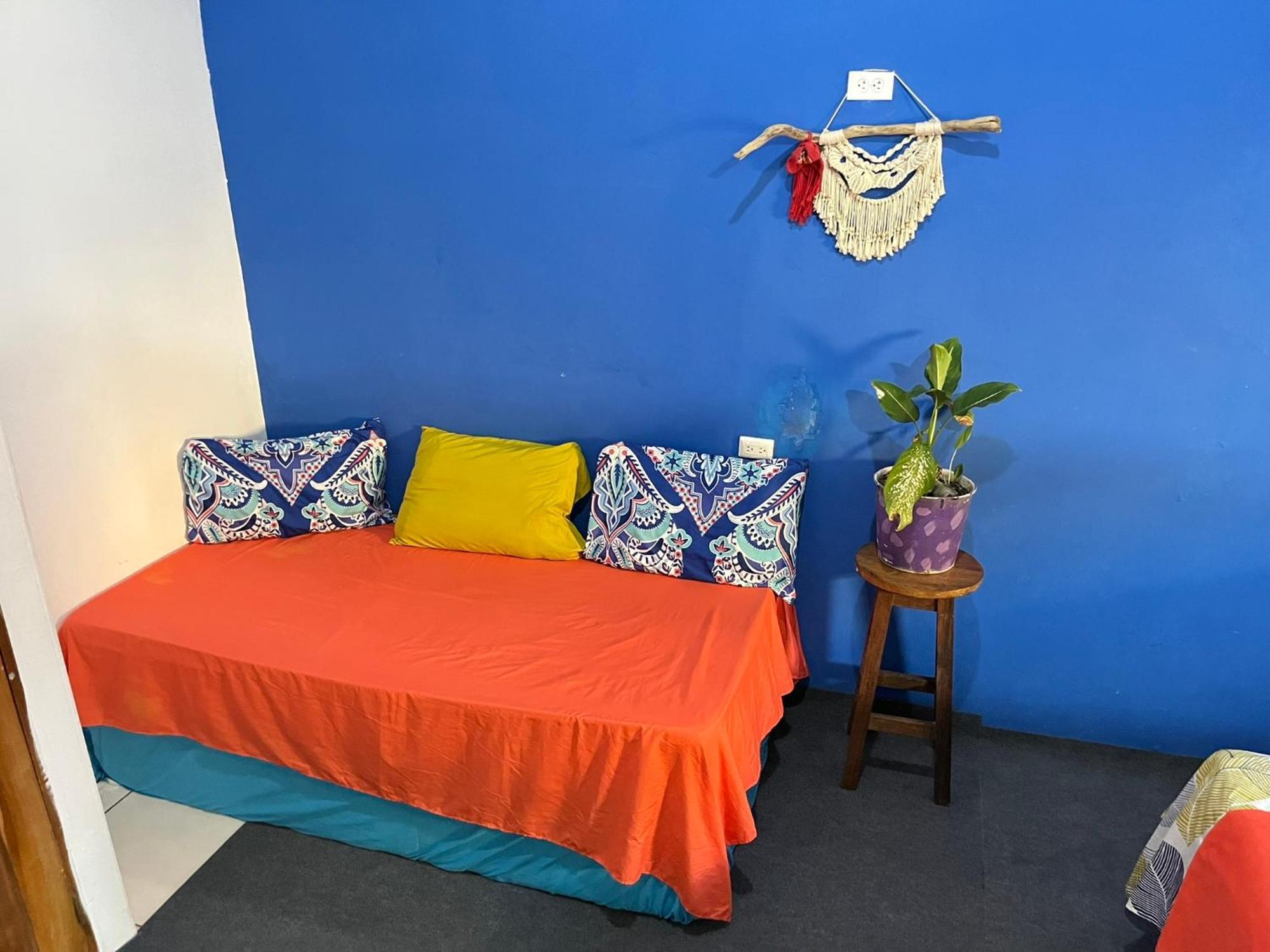 Passifloras Hostel كيبوس المظهر الخارجي الصورة