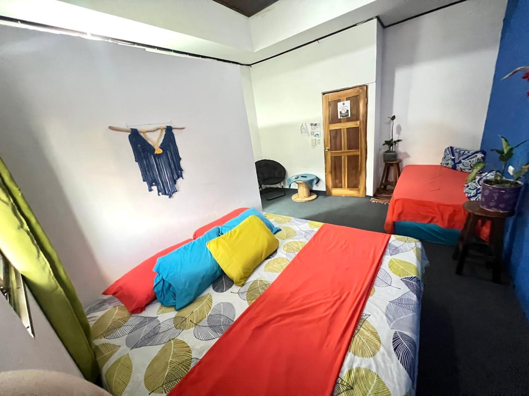 Passifloras Hostel كيبوس المظهر الخارجي الصورة