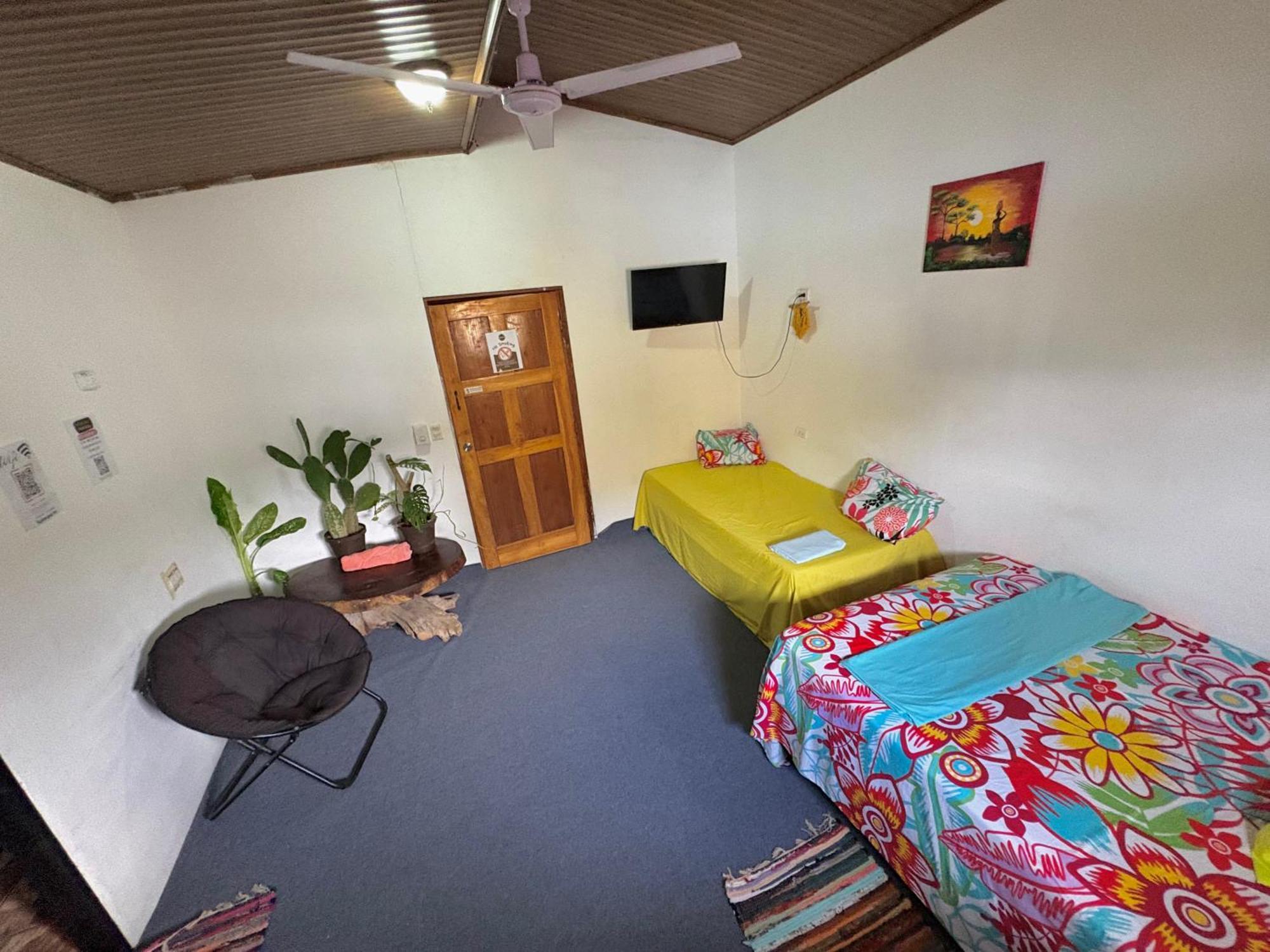 Passifloras Hostel كيبوس المظهر الخارجي الصورة