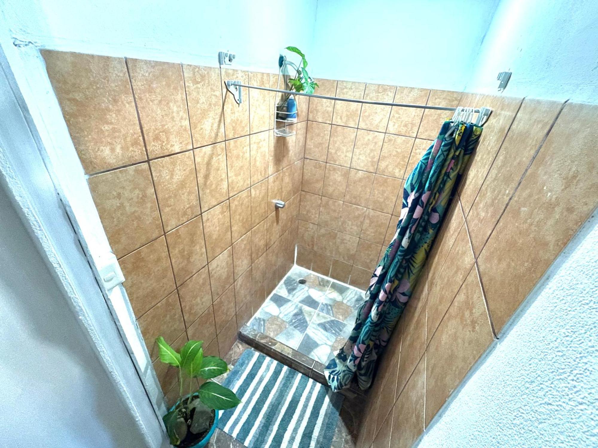 Passifloras Hostel كيبوس المظهر الخارجي الصورة