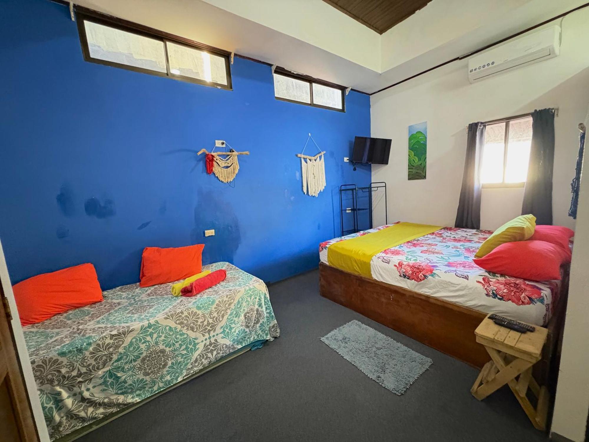 Passifloras Hostel كيبوس المظهر الخارجي الصورة