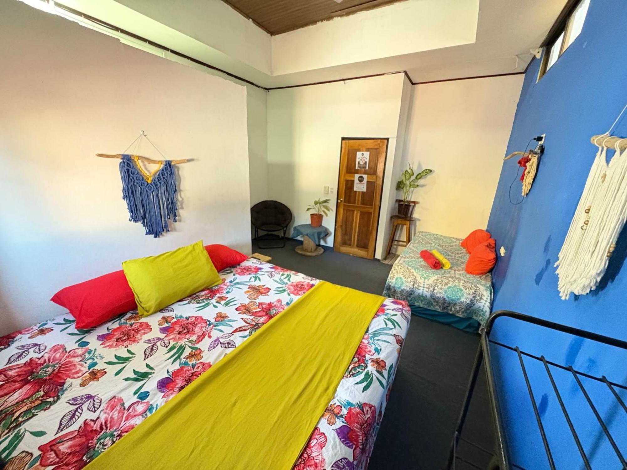 Passifloras Hostel كيبوس المظهر الخارجي الصورة