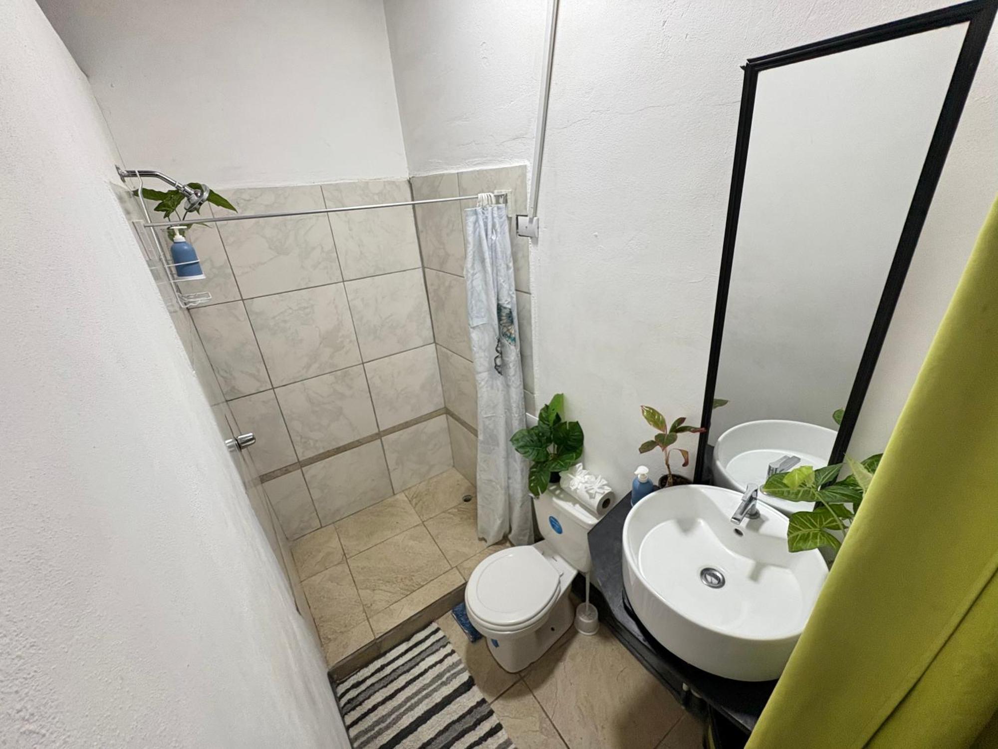 Passifloras Hostel كيبوس المظهر الخارجي الصورة