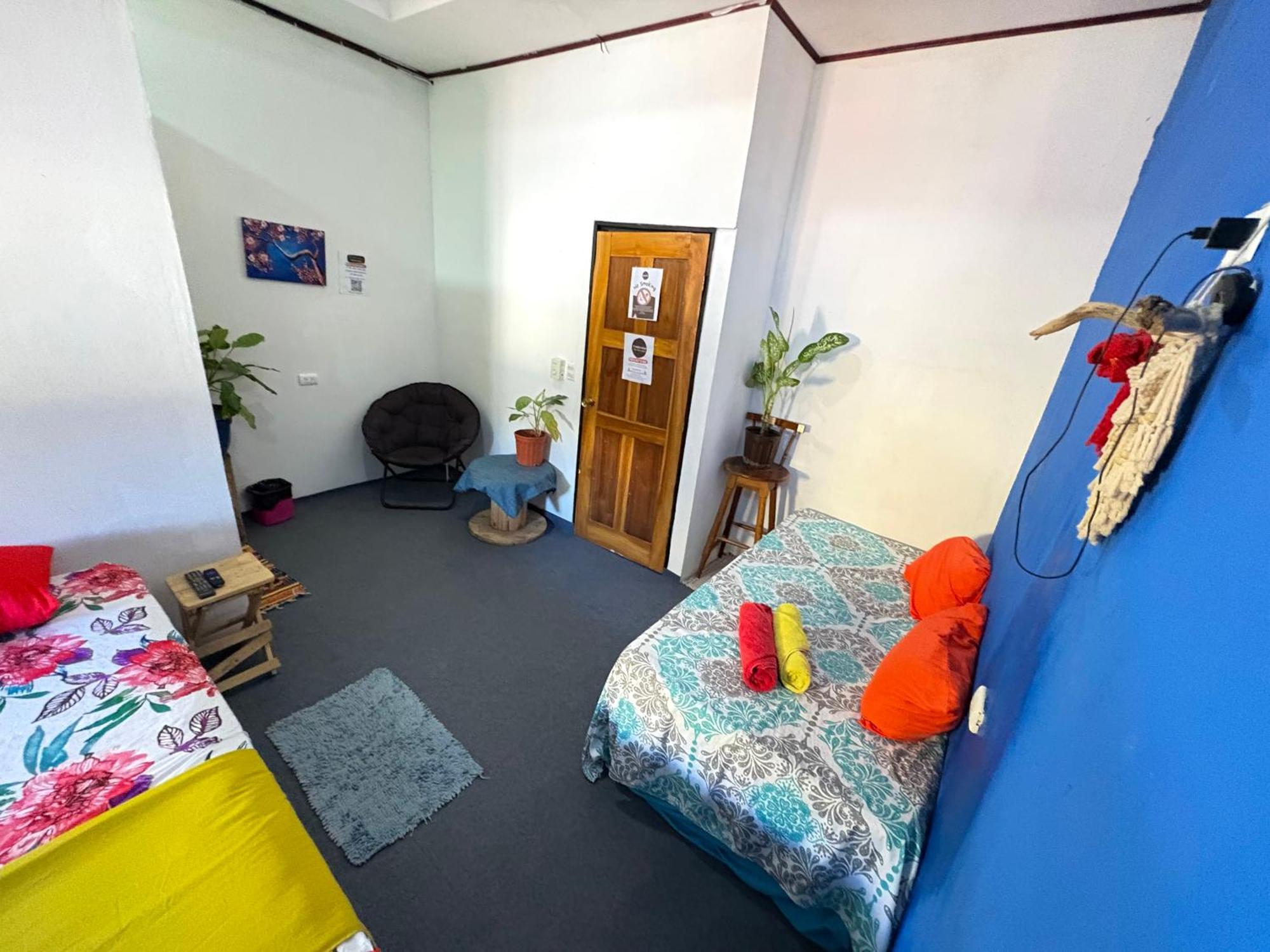 Passifloras Hostel كيبوس المظهر الخارجي الصورة