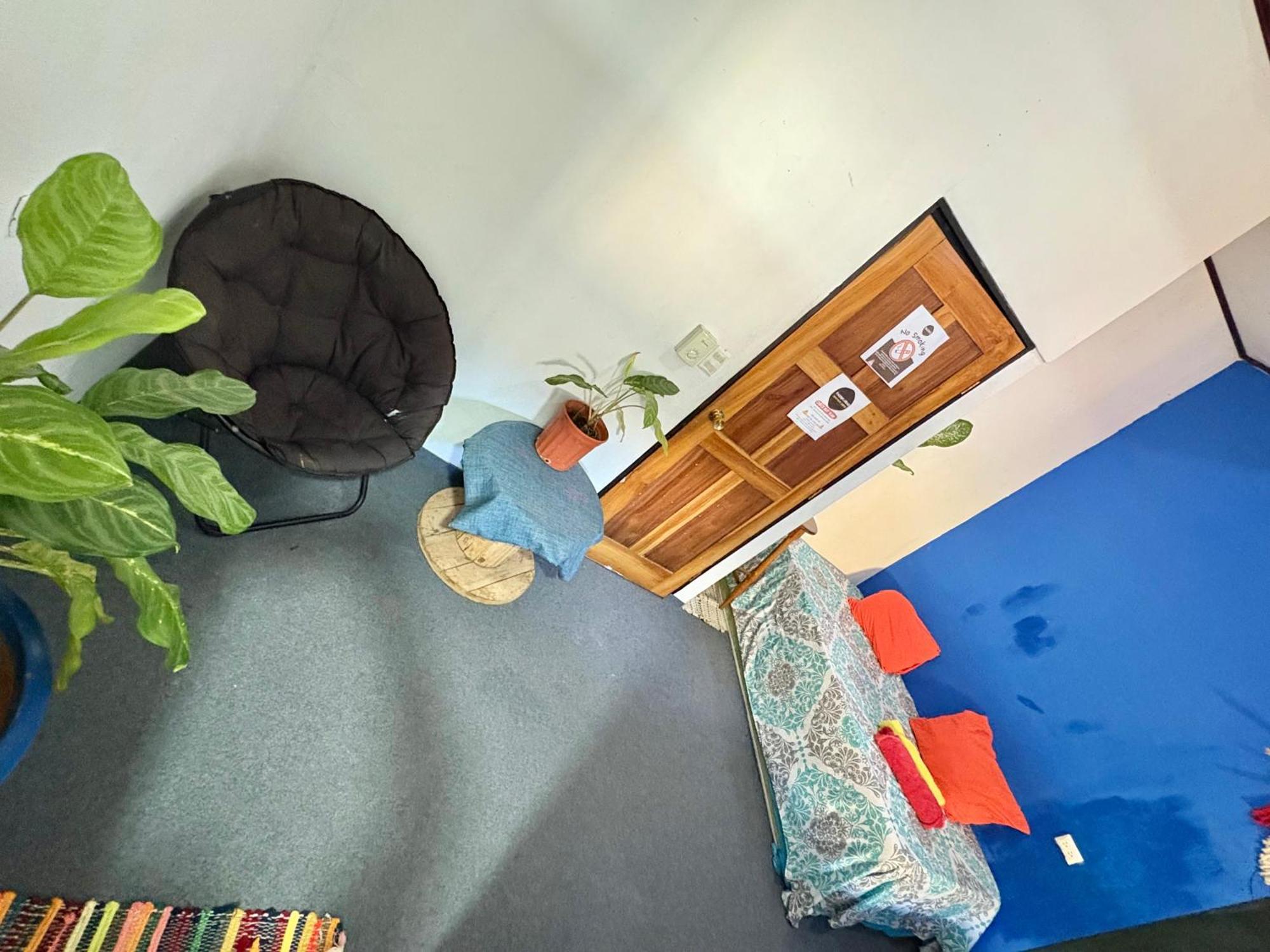 Passifloras Hostel كيبوس المظهر الخارجي الصورة